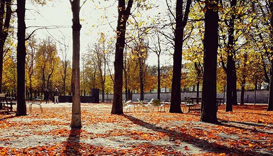 autumn paris jardin des tuileries