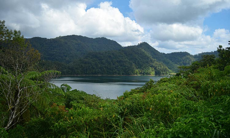 Balinsasayao Twin-Lakes Natural Park near Dumaguete