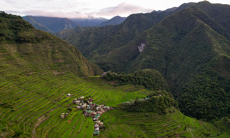 Batad Banaue rice terraces