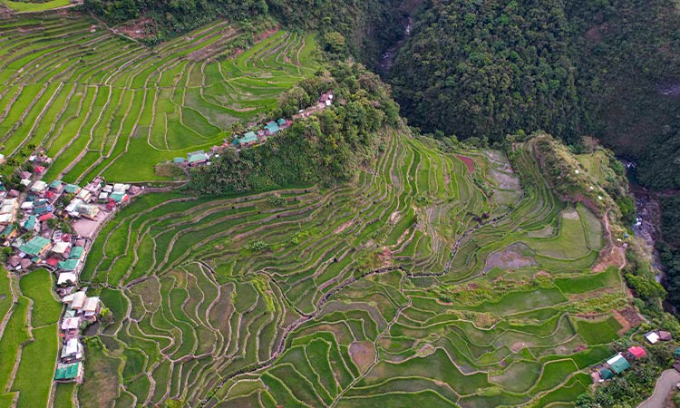 Drone shot of the Banaue rice terraces
