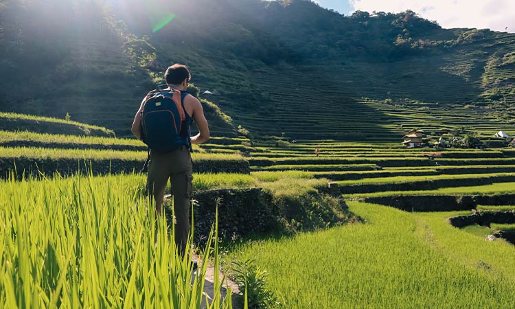 Man walking in the rice terraces Philippines