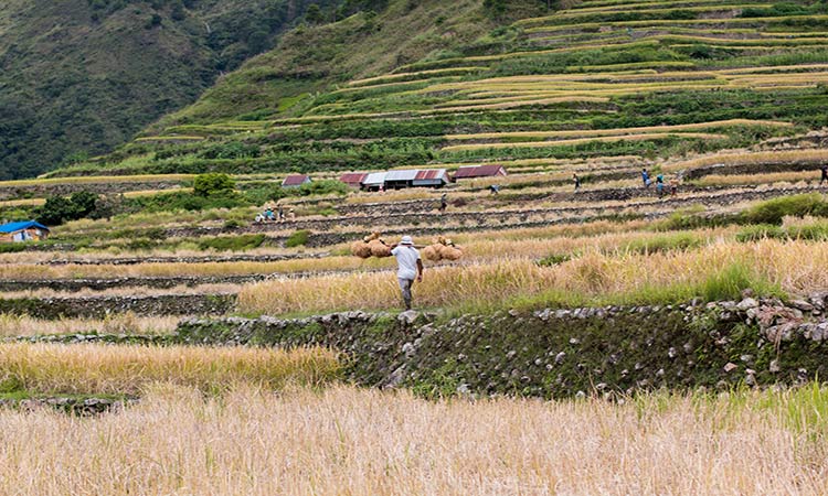 Buscalan Village