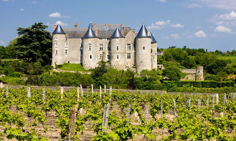 Loire Valley - French Vineyard