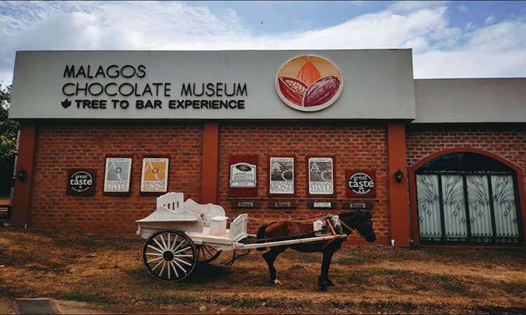 Malagos Chocolate Museum