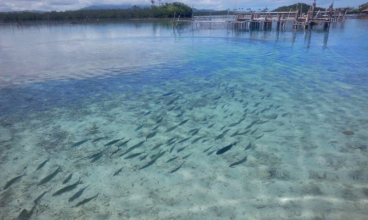 Tourist Attraction in Sorsogon