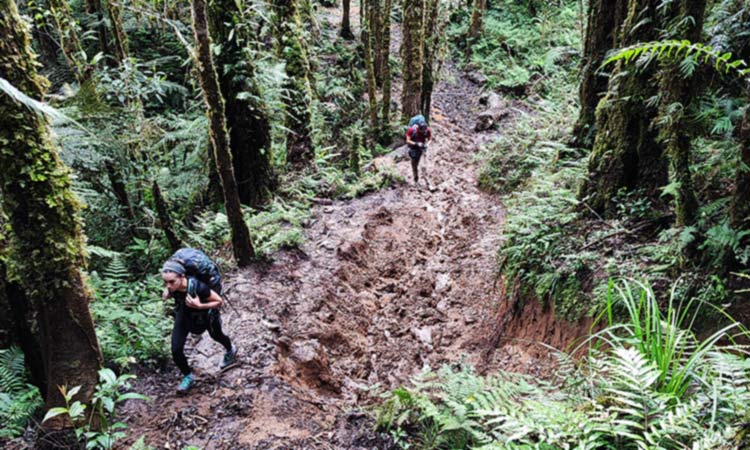 Mount Apo Davao Philippines Wet